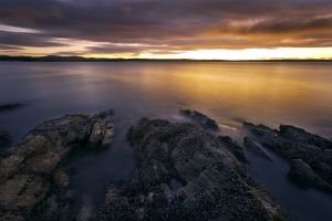 Mossyard Sunrise # 2